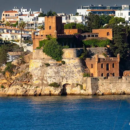 Kings House - Casa Da Arvore * 포티마오