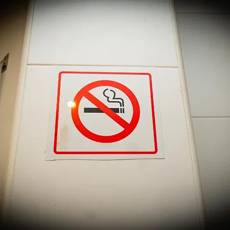 Kings House - Casa Da Arvore Lägenhet