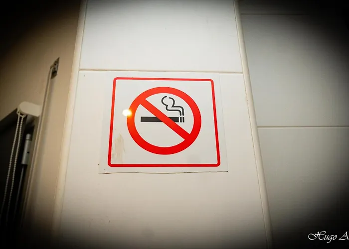 Kings House - Casa Da Arvore Lägenhet